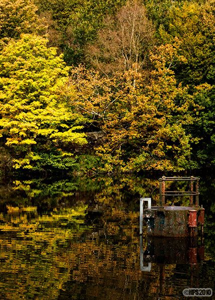 Gnoll Country Park
