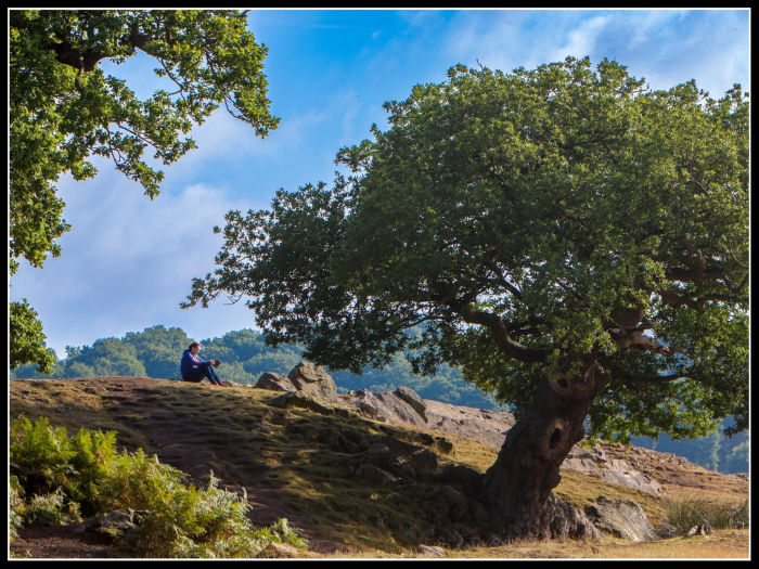 Bradgate Park, Leicestershire
Keywords: Bradgate Park