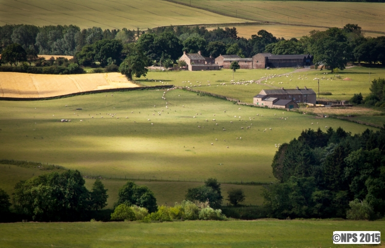 Cumbria
