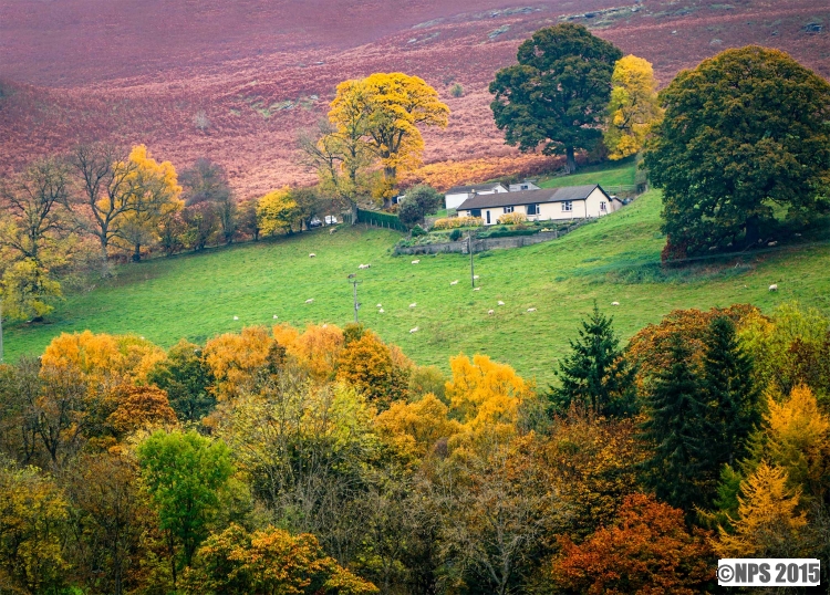 Autumn Colour
Mid Wales this weekend
