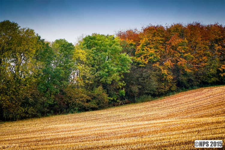 Autumn Colour
Mid Wales this weekend
