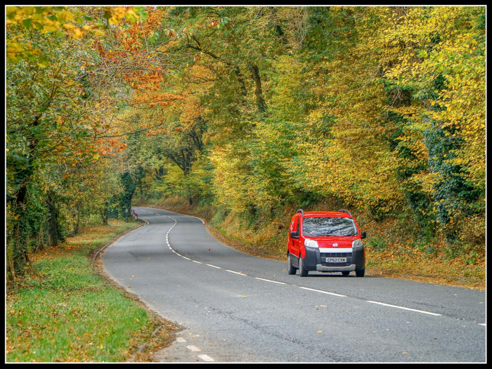 Postal Service
Keywords: Autum Colours