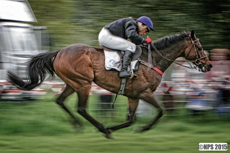 Point to Point Horse Racing
