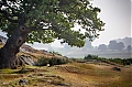 Bradgate_Park.jpg