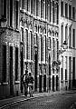 Walk_Around_Bruges_.jpg