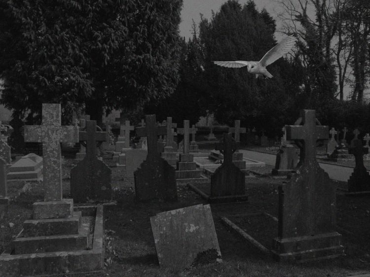 Graveyard Ghost
Taken recently, using an infra-red trigger and high ISO.
