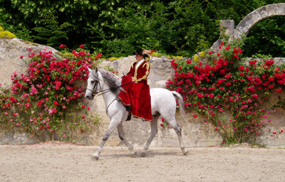 Equestrian Display
Chateau De Chambord, Loire Valley
