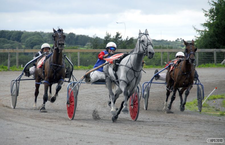 Ammanford Trotting
