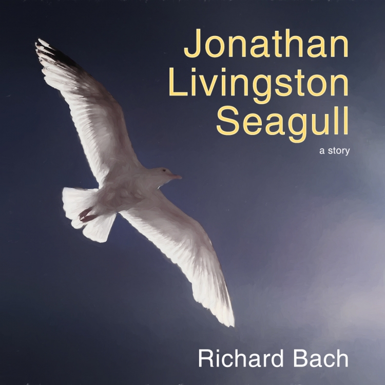 Jonathan Livingston Seagull
Scored 17 (pdi), book titles category.
Pentax K-x. 135mm, f/14, 1/3200sec, ISO 100.
