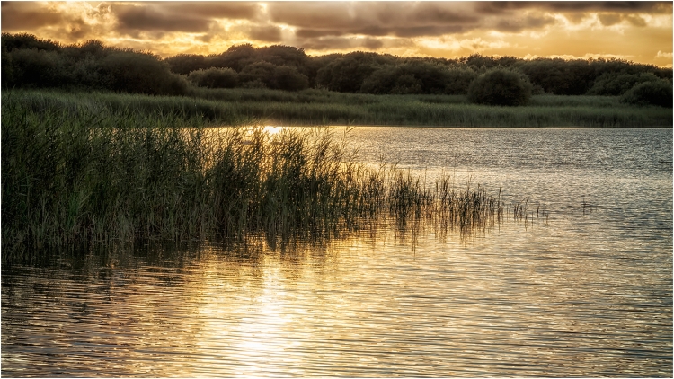 Kenfig Nature Reserve, August 2017.
Pentax k-5IIs. 85mm, f/11, 1/40sec, ISO 200, -1ev.
