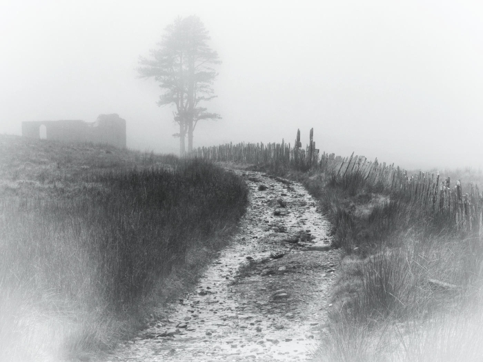 Keywords: Cwmorthin Cwmorthin Slate Village Landscape North Wales