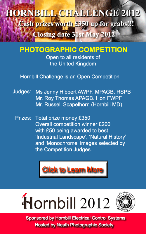 Link to Hornbill Challenge Website